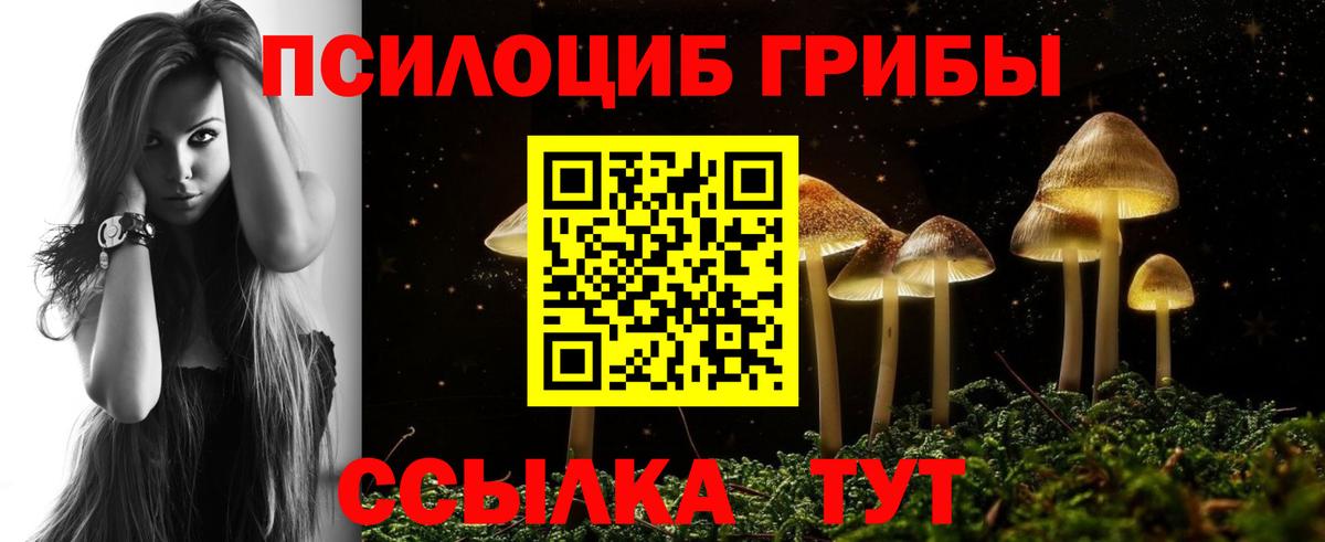 Галлюциногенные грибы прущие грибы  купить наркотики цена  Галлюциногенные грибы Psilocybe  Заволжье  Вход с VPN 